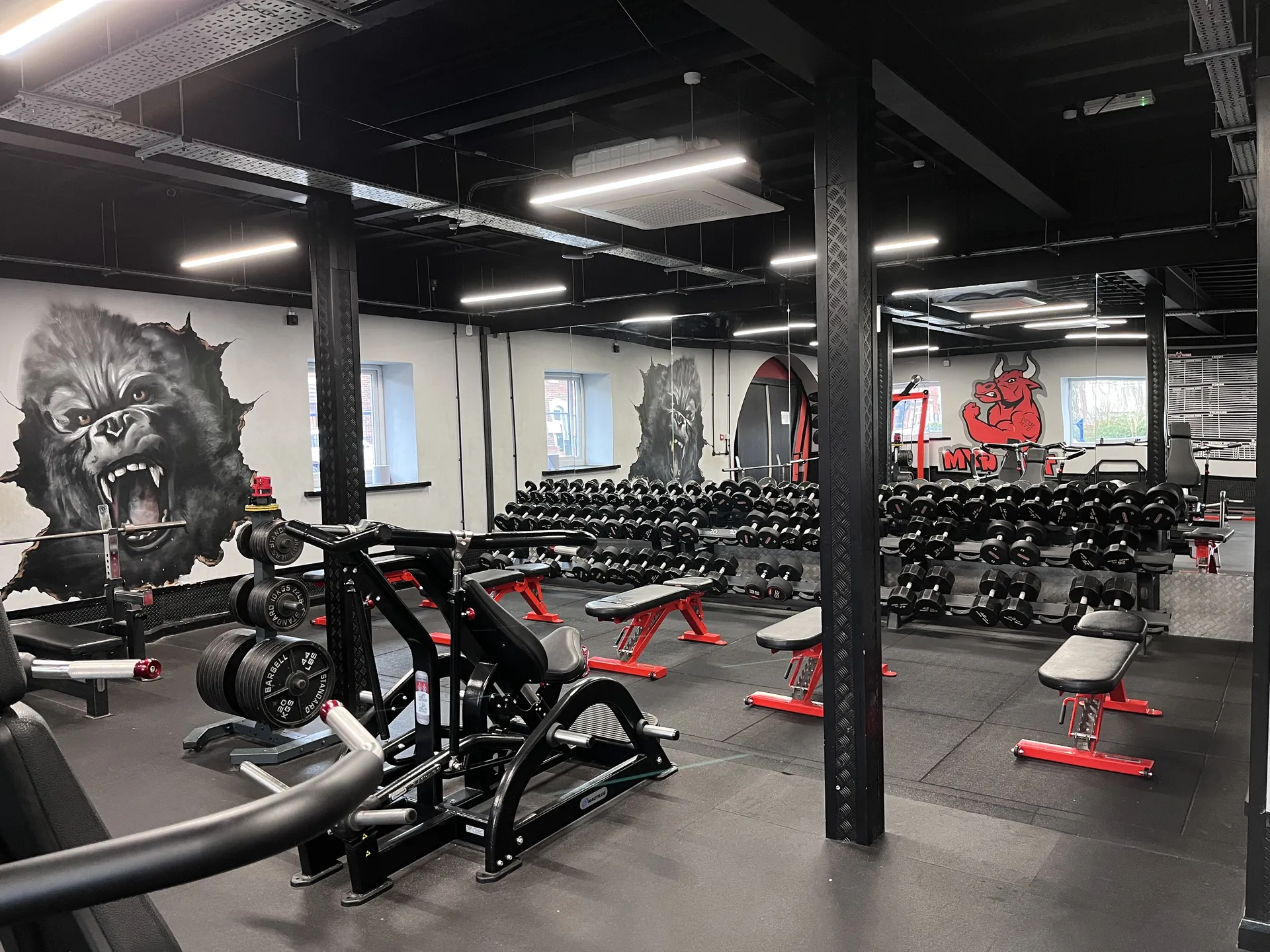 Dumbbell rack and free weights area