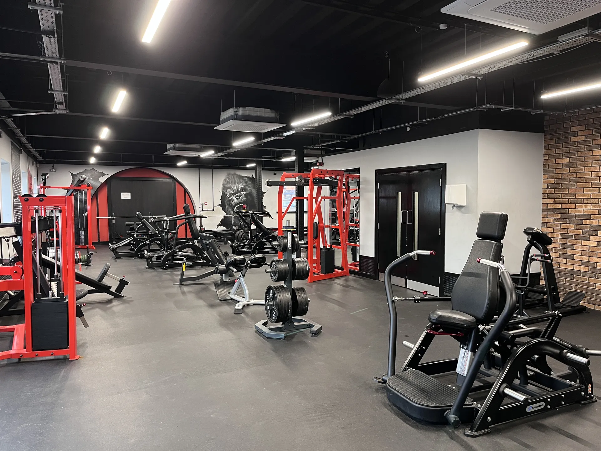 Main gym floor with red equipment and gorilla mural